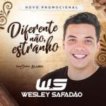 Download Wesley Safadão: Diferente Não, Estranho 2018
