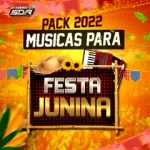 Download PACK MUSICAS DE FESTA JUNINA 2022 SEM VINHETA VIVA SÃO JOÃO [Mp3] via Torrent