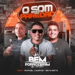 Download BEM FORROZEIRIM - CD MARÇO 2021 REPERTÓRIO NOVO - JONATHACDS [Mp3] via Torrent