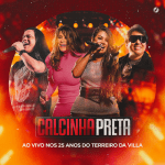 Download Calcinha Preta - CD Promocional - 25 Anos Terreiro da Villa [Mp3] via Torrent