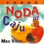 Meu Vicio