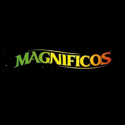 Download Banda Magnificos | Seleção