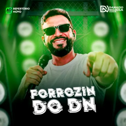 Baixar CDs de Forró – Forrozin do DN Download Forrozin do DN