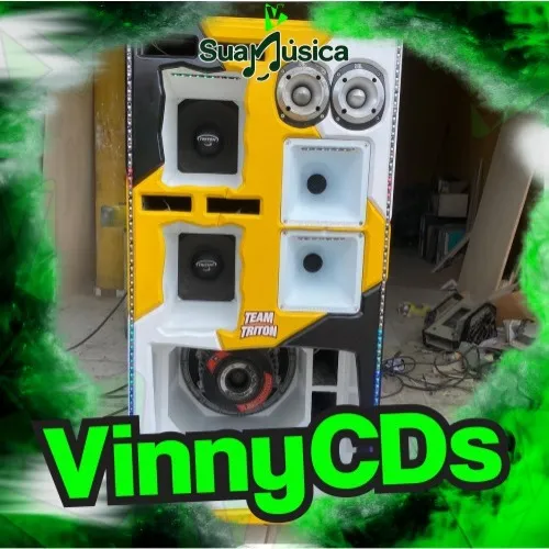 Download MARI FERNANDES OUTUBRO 2026 PRA PAREDÃO Vinny CDs