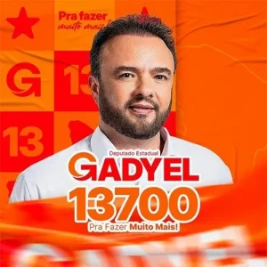 Download Músicas Deputado Estadual Gadyel 13700